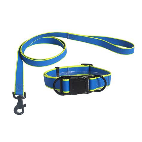 collar leash set 2