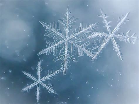 How To Shoot Snowflake Photography Stunning Macro Snowflakes ...