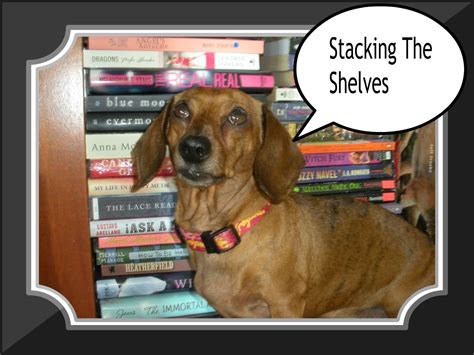 BookHounds: BOOKHOUNDS STACKING THE SHELVES April 28, 2012