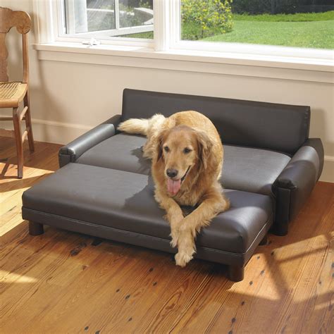 Mission Hills Faux Leather Dog Sofa & Reviews | Wayfair