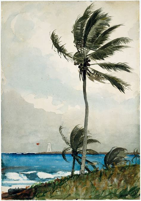 Winslow Homer | Palm Tree, Nassau | American | The Metropolitan Museum of Art