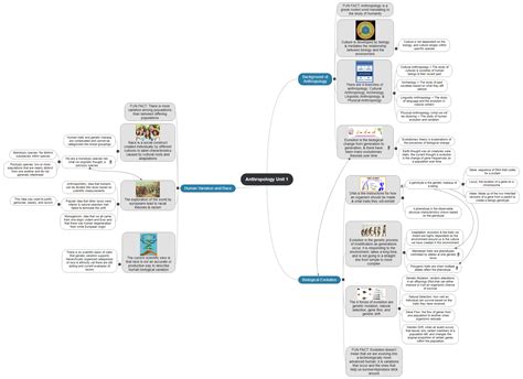 Anthropology Unit 1 4353 – MindView | Mind Mapping Software