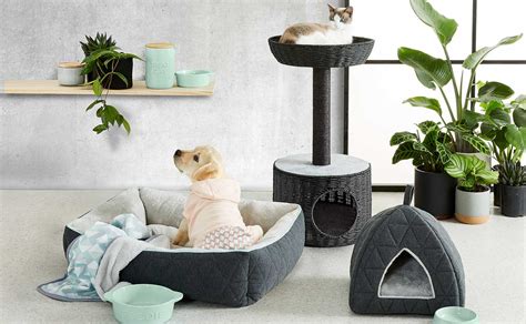 Pet Supplies & Pet Accessories | Kmart