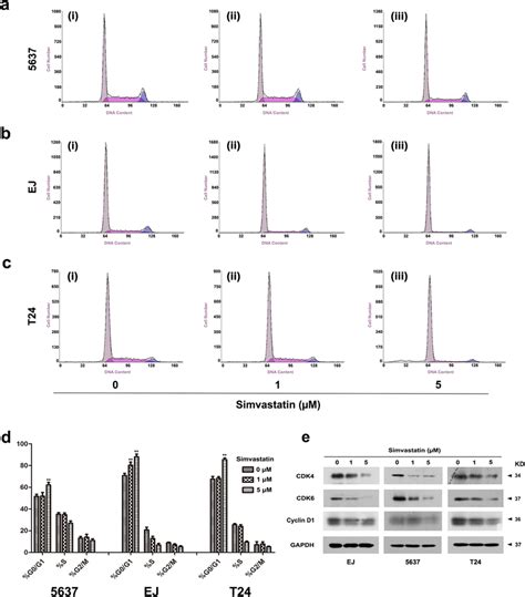 Effect of simvastatin on cell cycle arrest at G0/G1 phase in distinct... | Download Scientific ...