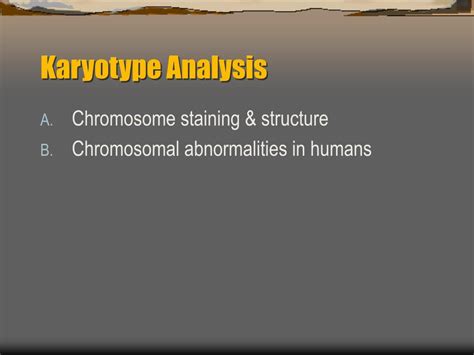 PPT - Karyotype Analysis PowerPoint Presentation, free download - ID:683014