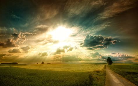 Sunny Fields Wallpaper - Photo #29338 - Free 3D Models | Free stock photos | Desktop Wallpapers