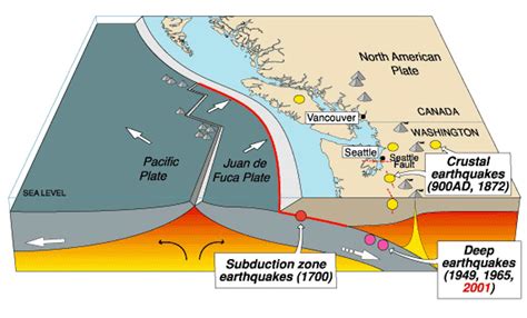 Parts of the Pacific Northwest's Cascadia fault are more seismically active than others ...