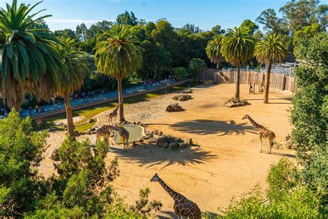 Oakland Zoo – Life With Gretch