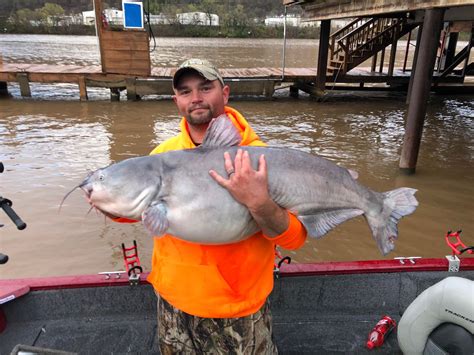 Angler lands new record blue catfish on Kanawha River - WV MetroNews