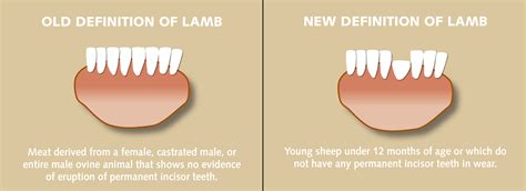 Definition of lamb to change - 2GB