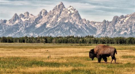 Hike, fish and camp at Grand Teton National Park: | Visit The USA