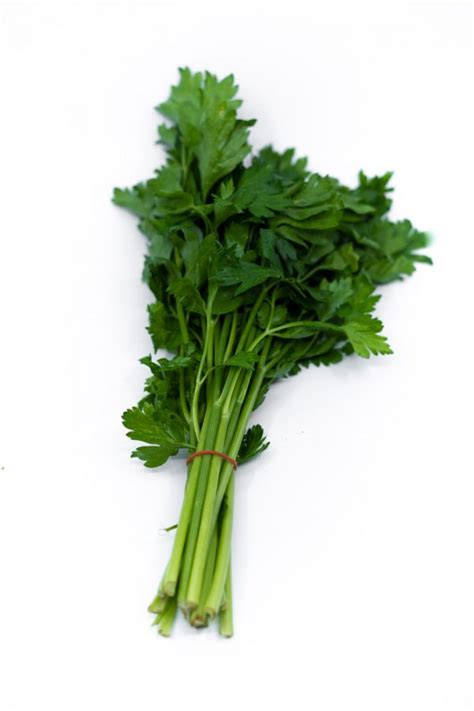 Flat Leaf Parsley - Todarellos