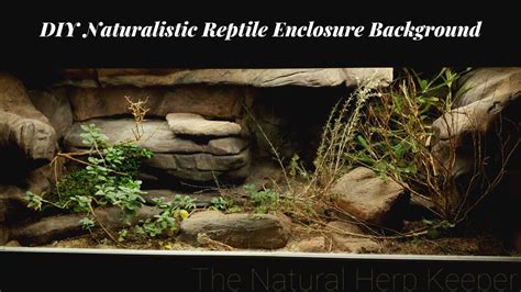 DIY Naturalistic Enclosure Background for a Bearded Dragon - YouTube