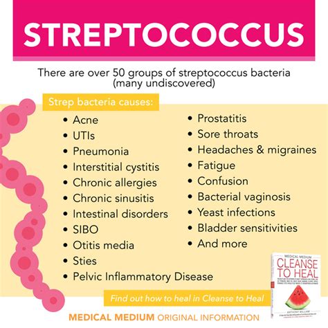 Streptococcus