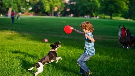 Exploring the Best Dog Parks Near Me: A Comprehensive Guide