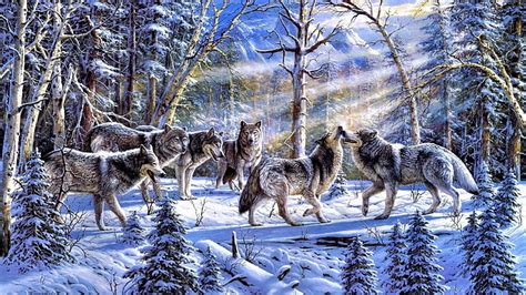 HD wallpaper: gray wolf, wilderness, wildlife, bear, forest, cartoon ...