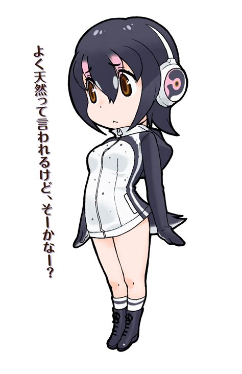 Hululu (Humboldt Penguin) | Japari Library Wiki | Fandom powered by Wikia