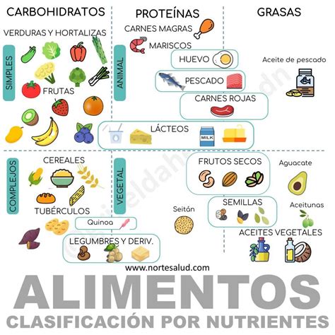 Clasificación de los alimentos según sus nutrientes - Norte Salud Nutrición