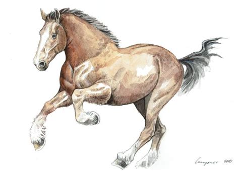 Draft horse galloping. Pencil and watercolor illustration. Drawing by ...