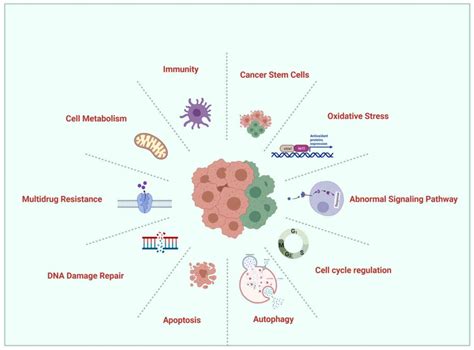 Molecular mechanisms of platinum‑based chemotherapy resistance in ...