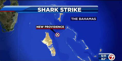 Police: Shark kills US tourist snorkeling in Bahamas - WSVN 7News | Miami News, Weather, Sports ...