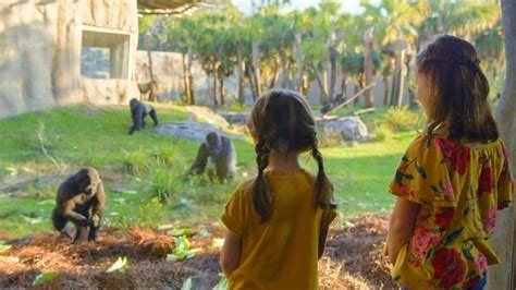 Jacksonville Zoo - tickets, prices, discount, animals to see, train ride