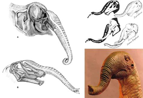 The Life Appearance of Sauropod Dinosaurs — Tetrapod Zoology