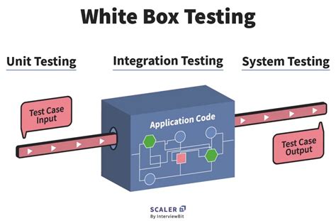 White Box Testing | Techniques, Types & Example - Scaler Topics