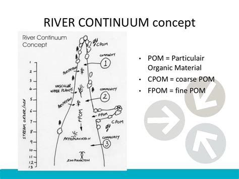 River continuum concept and measurement sunday 15 september