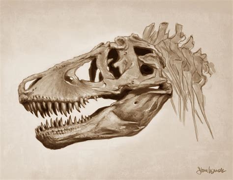 T-Rex Skull by SBWomack on DeviantArt