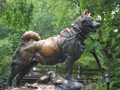 The Balto Statue in Central Park - Discover NYC