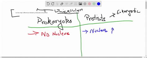 SOLVED:The bacterium Escherichia coli and the parasitic protozoan Giardia lamblia both have ...