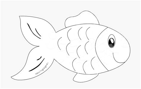 Outline Fish Clipart Png - Rectangle Circle