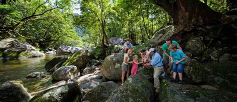 Mossman Gorge Tours - Dreamtime Walk - Adventures Port Douglas