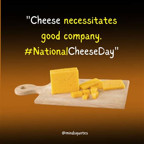 35 National Cheese Day Quotes, Wishes, Messages & Captions