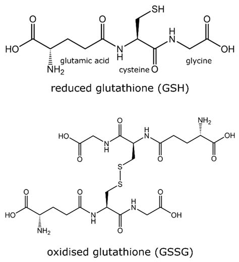 Metabolites | Free Full-Text | Glutathione for Food and Health ...