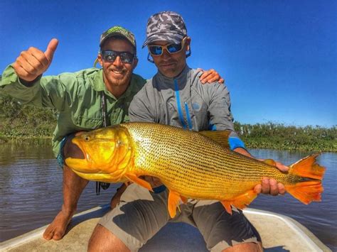 Win a Trip – Nomads Outfitters – Fly Fishing Dorado