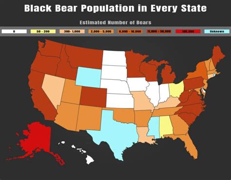 Black Bear Population by State - A-Z Animals