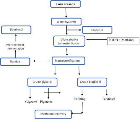 Diagrams illustrating the main steps for production of biofuel and ...