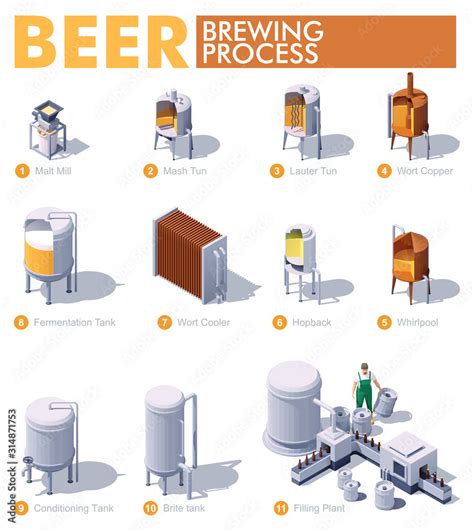 Vector isometric craft beer brewing process. Beer production process infographic. Brewery ...