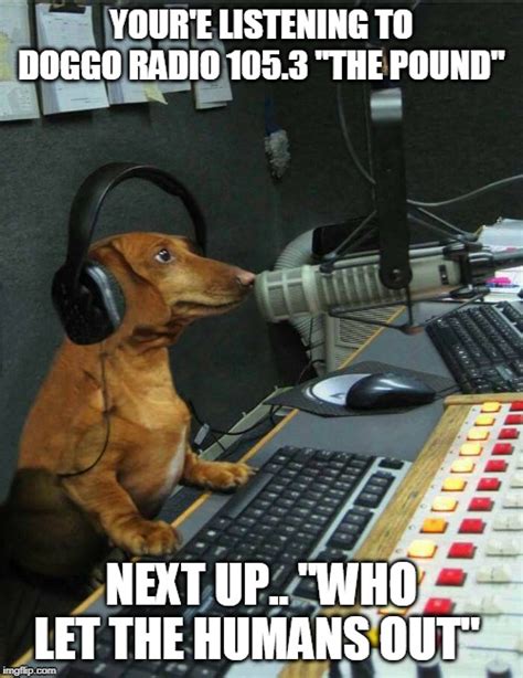 Image tagged in ruff,doggo,radio - Imgflip