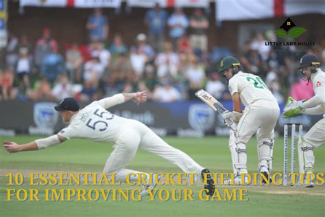 10 ESSENTIAL CRICKET FIELDING TIPS FOR IMPROVING YOUR GAME - Little Lady House