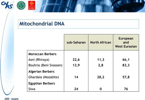 PPT - The Berbers Linguistic and genetic diversity PowerPoint ...