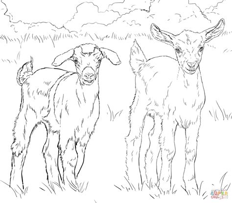 Baby Goats coloring page | Free Printable Coloring Pages