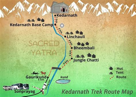 Gaurikund to Kedarnath: A Once-in-a-Lifetime Trek - Rishikesh Day Tour