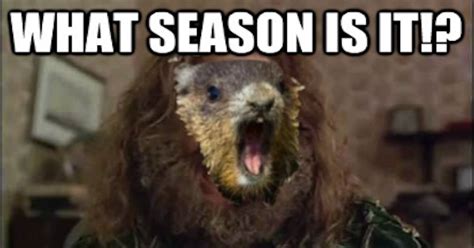 Funny Groundhog Day Memes You Can Laugh at No Matter the Forecast