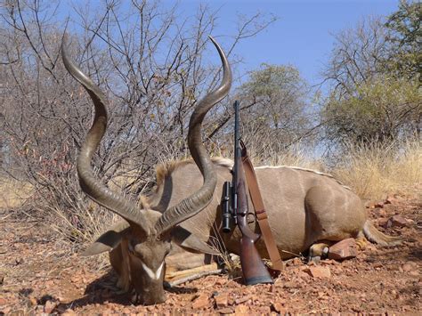 Trophy Kudu Hunting In South Africa - Big Game Hunting Adventures