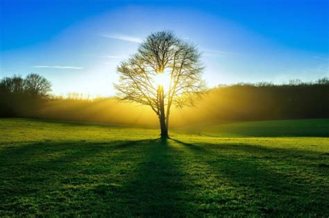 sun, Grass, Meadow, Sky, Nature Wallpapers HD / Desktop and Mobile Backgrounds