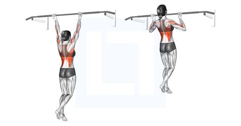 Barbell Rear Delt Row - Guide, Benefits, and Form