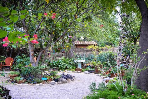 A Day at the Tucson Botanical Gardens - Alumni, parents, and friends ...